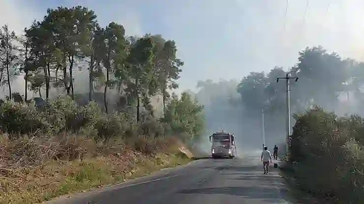 Manavgat’ta tarım arazisinde başlayan yangın ormanlık alana sıçradı