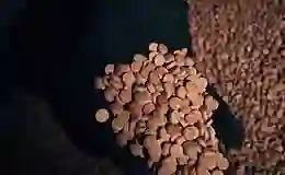 Mersin’de uyuşturucu operasyonu: 3 milyon 542 bin hap ele geçirildi