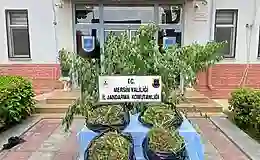 Mersin’de uyuşturucu operasyonu