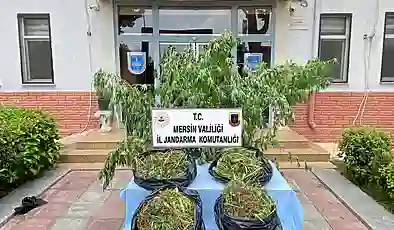 Mersin’de uyuşturucu operasyonu