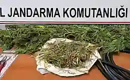 Niğde’de uyuşturucu operasyonu