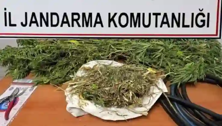 Niğde’de uyuşturucu operasyonu