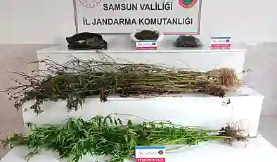 Samsun’da jandarma 2 kilo 355 gram esrar ele geçirdi