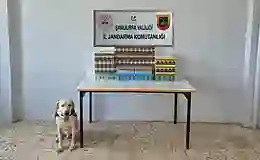 Şanlıurfa’da binlerce gümrük kaçağı sigara ele geçirildi