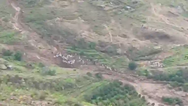 Sudan’da toprak kayması: Bir köy haritadan silindi, bin kişi öldü