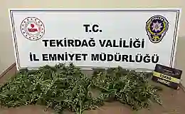 Tekirdağ’da uyuşturucu operasyonda 2 tutuklama