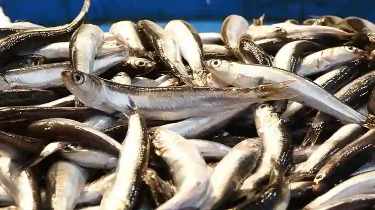 Türkiye hamsi ihracatından 8 ayda 9,9 milyon dolar kazandı