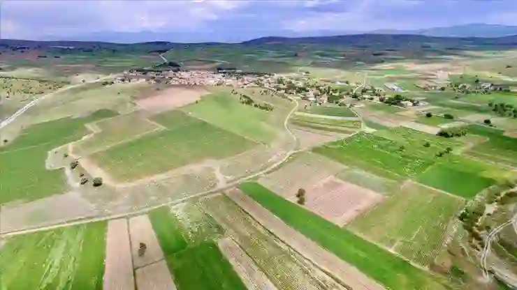 Türkiye ile Suriye arasında tarım alanında ‘Ortak Eylem Planı’ imzalandı