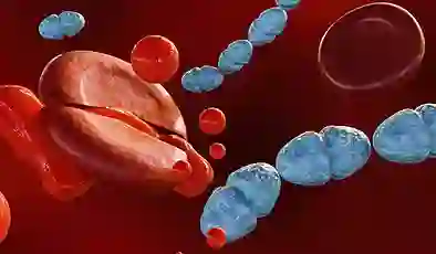 Yılda 11 milyona yakın can alıyor: Dikkat herkes risk grubunda!