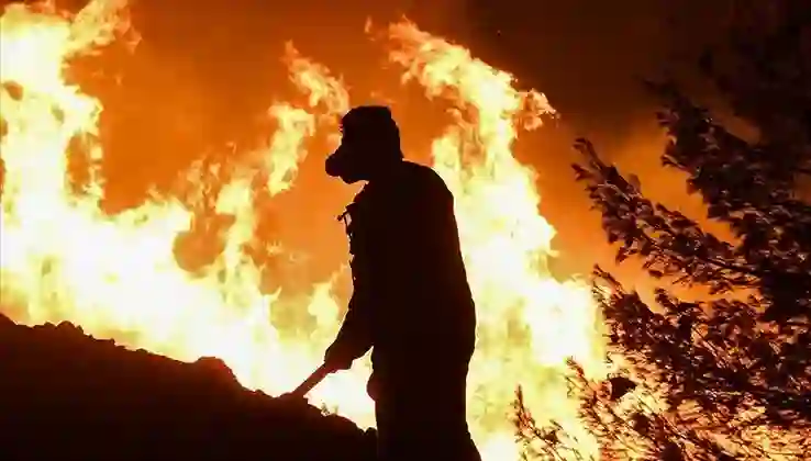 Yunanistan’da bu yıl 470 bin dönümden fazla orman yandı