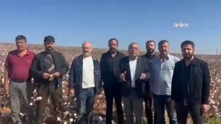 CHP'li Tanrıkulu: Bu yıl da destek verilmezse bölgede pamuk üretimi neredeyse sıfıra düşecek!