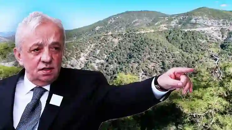 Cengiz Holding'in siyanürlü altın madenine onay çıktı; 57 bin ağaç kesilecek