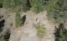 Isparta’da kaçak avcı drone ile yakalandı