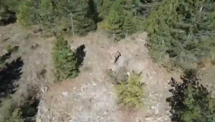 Isparta’da kaçak avcı drone ile yakalandı