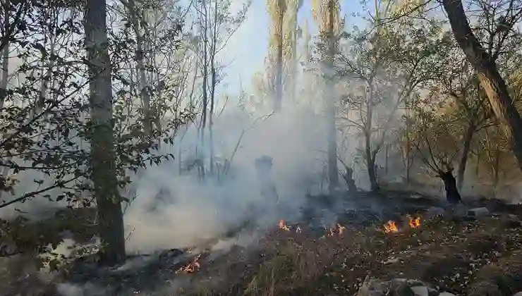 Çorum’da ağaçlık alanda yangın: 620 dönüm arazi zarar gördü