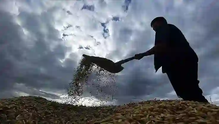 Çiftçi destek ödemeleri yattı mı?