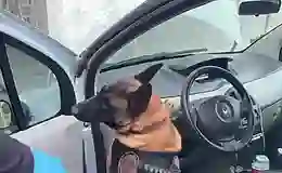 Araçta 46 kiloya yakın eroin bulundu