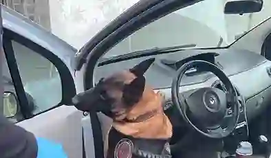 Araçta 46 kiloya yakın eroin bulundu