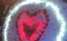 Sevgilisine sürpriz yapmak istedi, 11 bin lira ceza yedi