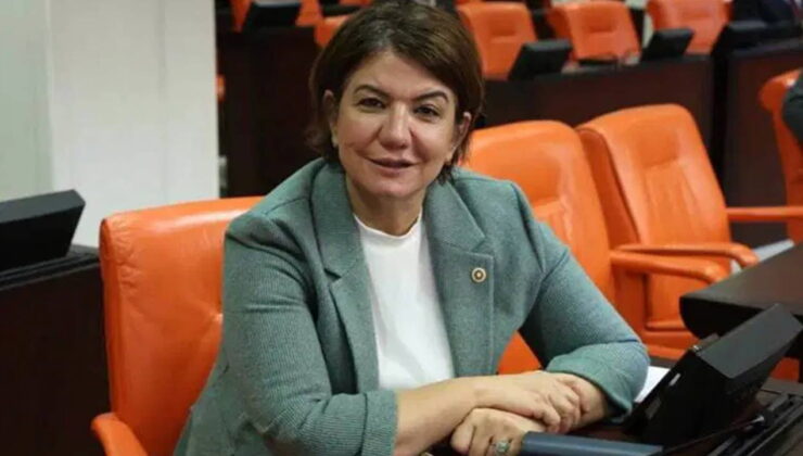 AKP'li milletvekilinden CHP'ye 'Öcalan' tepkisi: 'Atalarımızı idam ettiler, hiç Kürtlerin yanında yer almadılar'