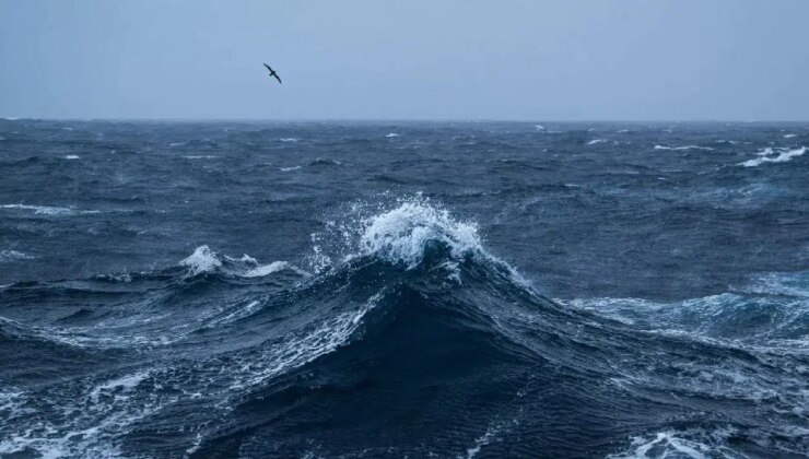 Bali Denizi’nde bilim dünyasını şaşırtan canlı