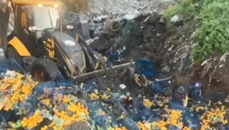 Sarp Sınır Kapısı’nda 6 ton mandalina imha edildi: Zirai ilaç kalıntısı tespit edildi