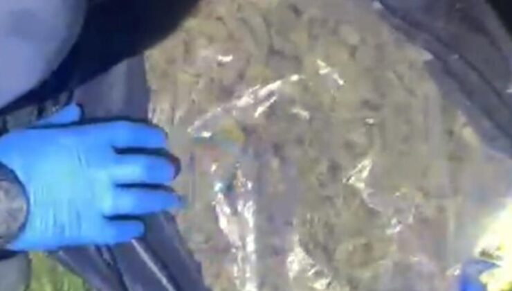 Muğla’da 4 milyon TL değerinde uyuşturucu ele geçirildi