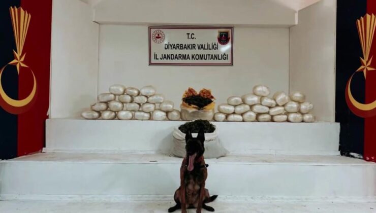 Diyarbakır’da kilolarca skunk ve esrar ele geçirildi