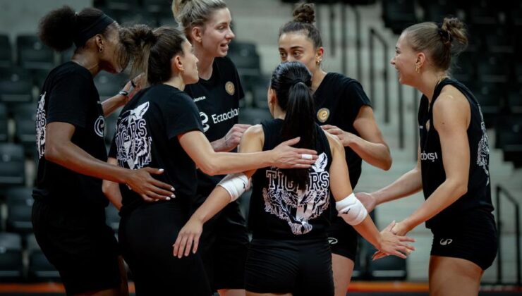 Eczacıbaşı Dynavit, Şampiyonlar Ligi sahnesinde