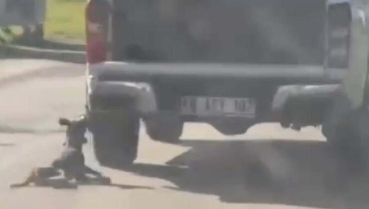 Muğla’da vahşet: Kamyonete bağlanarak sürüklenen köpek öldü