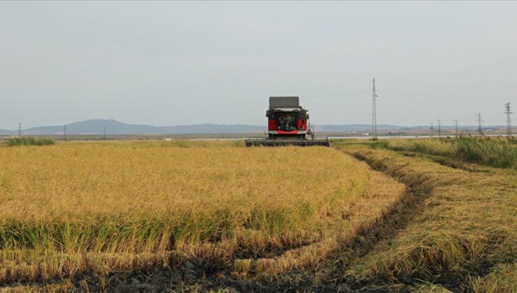 Tarımsal girdi fiyatları eylülde yüzde 2,16 arttı