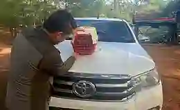 Yasadışı Kınalı Keklik satışına 28 bin TL ceza