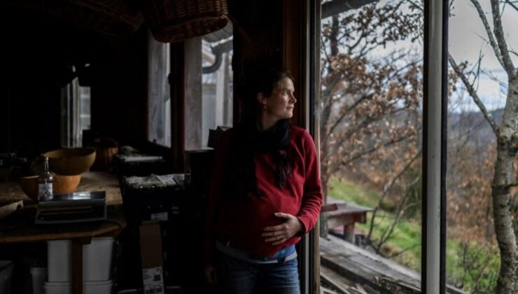 Yapay zeka, hamilelik şansını artırıyor