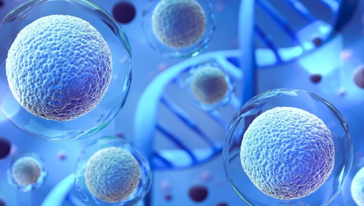 Lenfoma tedavisinde yeni umut: Yeni hücre terapisi başarı oranıyla dikkat çekiyor
