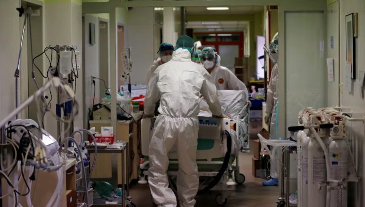 Küresel ısınma hayvanlardan bulaşan salgın hastalıkları artırabilir