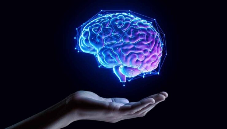 Cambridge’den çarpıcı bulgu: İnsan beyni yaşam boyu dört kez kendini yeniliyor