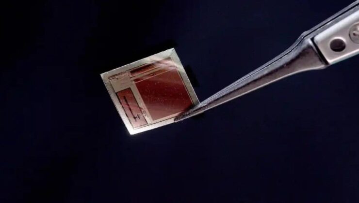 Beyne yerleştirilen çip epilepside umut oldu