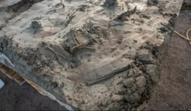 Taş Devri’nden 5 Bin Yıllık Sürpriz Keşif! Gizemli Gömü Ortaya Çıktı!