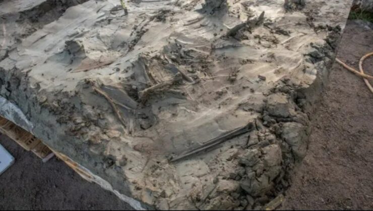 Taş Devri’nden 5 Bin Yıllık Sürpriz Keşif! Gizemli Gömü Ortaya Çıktı!