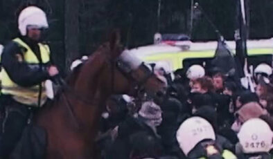 İsveç’te neo-Naziler 15 yıl sonra yeniden sokakta