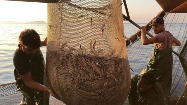 Hamsi Karadeniz’i terk etti: Tezgâhlarda fiyatlar uçuşa geçti