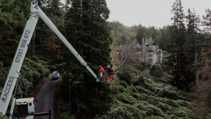 Dünyanın en büyük yılbaşı ağacı süslendi